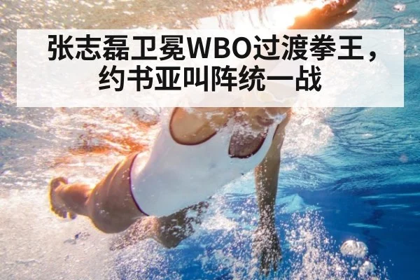 张志磊卫冕WBO过渡拳王,约书亚叫阵统一战