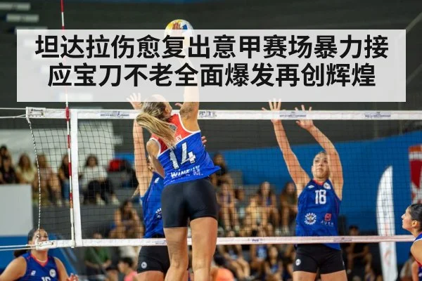 坦达拉伤愈复出意甲赛场暴力接应宝刀不老全面爆发再创辉煌
