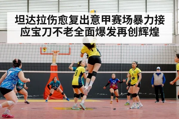 volleyball match action
