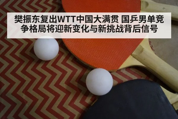 table tennis paddle ball closeup